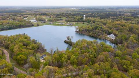 142 Chestnut Hill Rd, Flora, MS 39071 photo 9