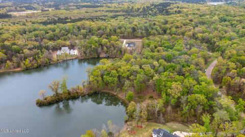 142 Chestnut Hill Rd, Flora, MS 39071 photo 12