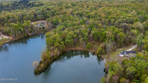 142 Chestnut Hill Rd, Flora, MS 39071 photo 15