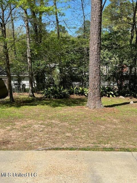 1814 Hillview Dr, Jackson, MS 39211 photo 8