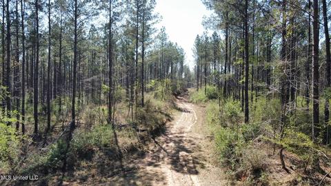 St. Anne Road, Carthage, MS 39051