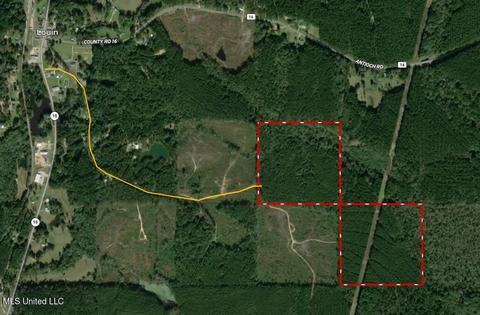 Highway 15, Louin, MS 39338