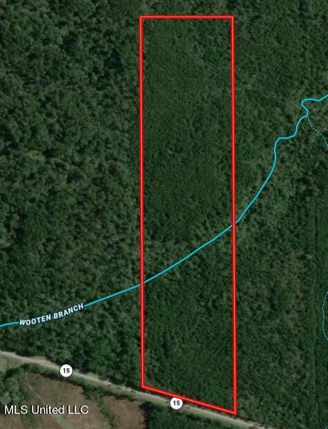 Highway 15, Bay Springs, MS 39422