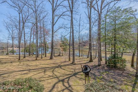 4013 Windermere Ct, Nesbit, MS 38651 photo 29