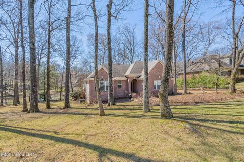 4013 Windermere Ct, Nesbit, MS 38651 photo 2