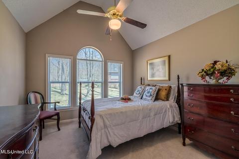 4013 Windermere Ct, Nesbit, MS 38651 photo 18