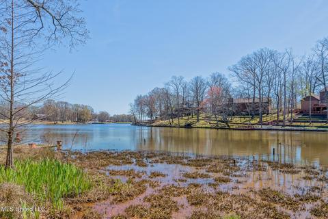 4013 Windermere Ct, Nesbit, MS 38651 photo 27