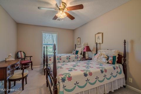 4013 Windermere Ct, Nesbit, MS 38651 photo 17