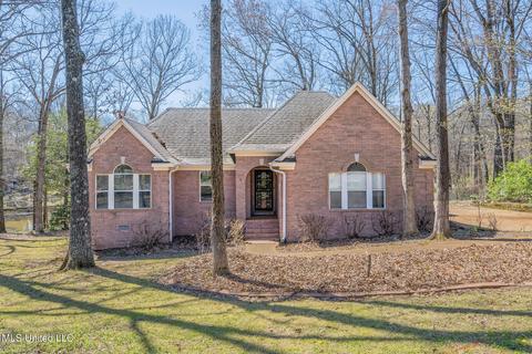 4013 Windermere Ct, Nesbit, MS 38651 photo 1