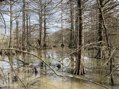 Shaw Road, Sledge, MS 38670