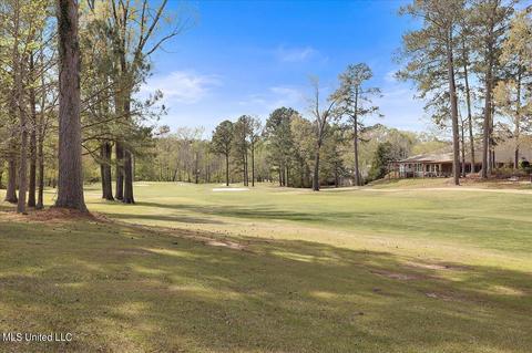 108 Pinnacle Cir, Brandon, MS 39047 photo 57