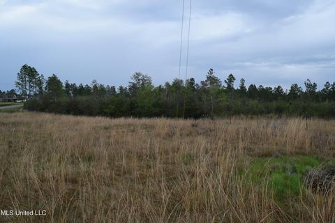 W Wortham Road, Saucier, MS 39574 photo 5