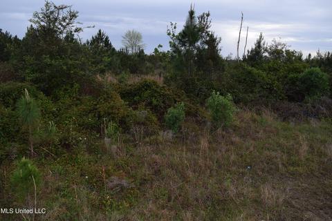 W Wortham Road, Saucier, MS 39574