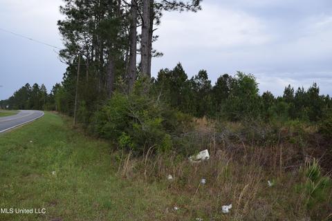W Wortham Road, Saucier, MS 39574 photo 2