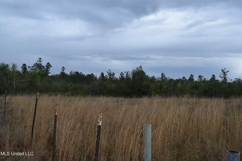 W Wortham Road, Saucier, MS 39574 photo 4