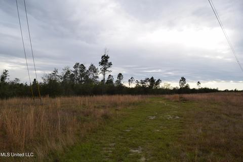 W Wortham Road, Saucier, MS 39574 photo 3