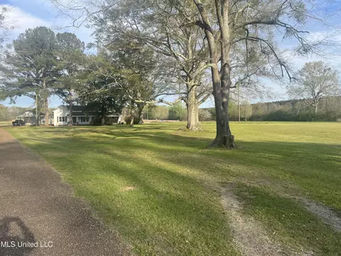 554 Highway 487, Lena, MS 39094 photo 25