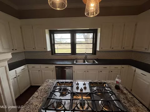 554 Highway 487, Lena, MS 39094 photo 58