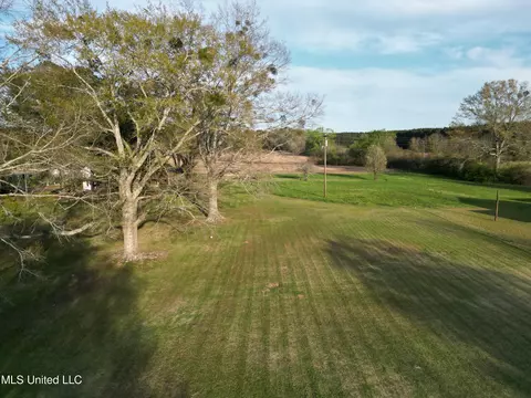 554 Highway 487, Lena, MS 39094 photo 28