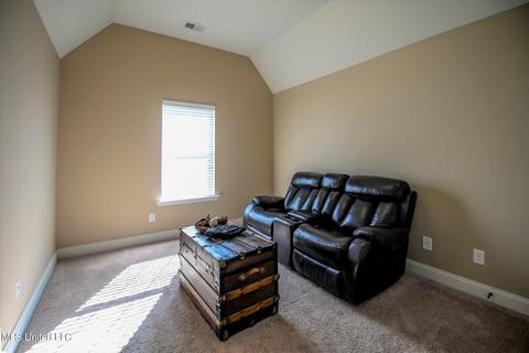 2959 Flora Lee Dr, Nesbit, MS 38651 photo 20