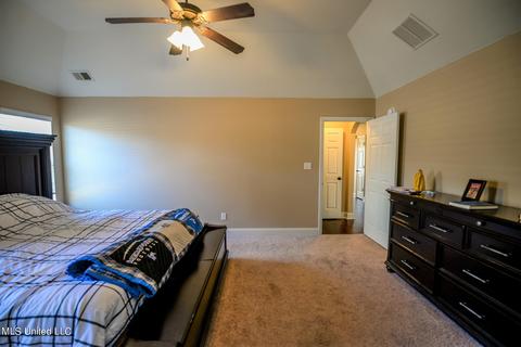 2959 Flora Lee Dr, Nesbit, MS 38651 photo 14