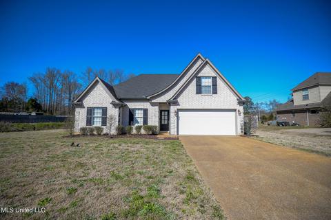 2959 Flora Lee Dr, Nesbit, MS 38651 photo 2