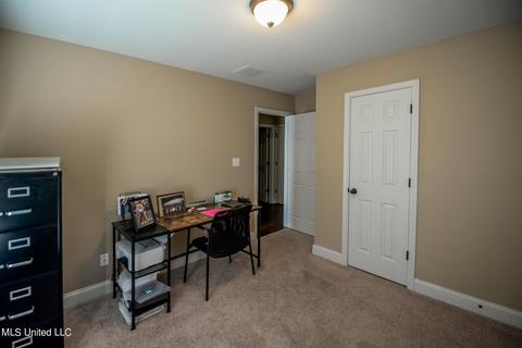2959 Flora Lee Dr, Nesbit, MS 38651 photo 24