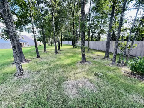 3871 Fieldstream Dr, Olive Branch, MS 38654 photo 6