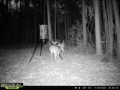 0008 Cole Dr SE, Ruth, MS 39662
