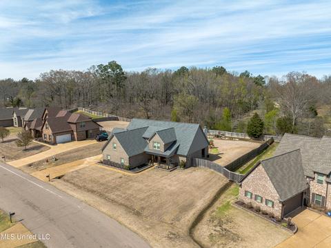 4646 Bakersfield Dr, Nesbit, MS 38651 photo 34