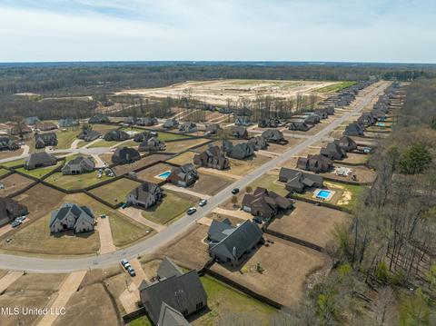 4646 Bakersfield Dr, Nesbit, MS 38651 photo 43