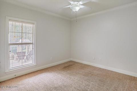 251 Cornerstone Dr, Brandon, MS 39042 photo 30