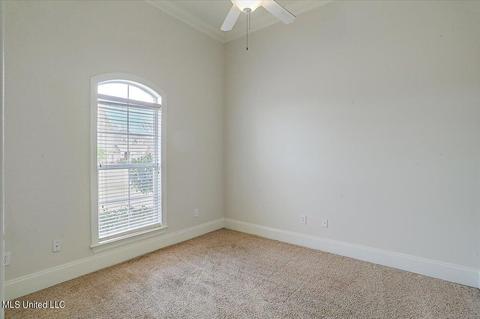 251 Cornerstone Dr, Brandon, MS 39042 photo 27