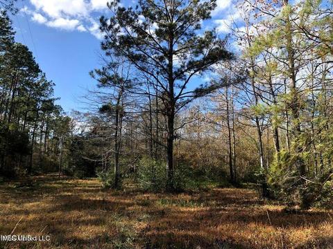 15407 Old Hwy 15, D'iberville, MS 39540