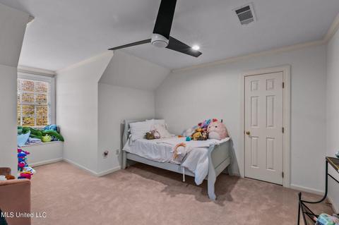 434 Forest Lake Pl, Madison, MS 39110 photo 40
