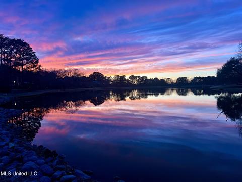 434 Forest Lake Pl, Madison, MS 39110 photo 67