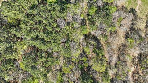 157 King Collier Rd, Brandon, MS 39042 photo 8
