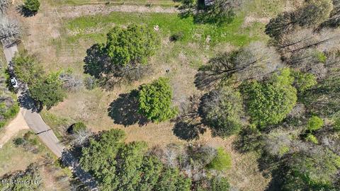 157 King Collier Rd, Brandon, MS 39042 photo 5