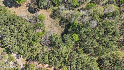 157 King Collier Rd, Brandon, MS 39042 photo 7