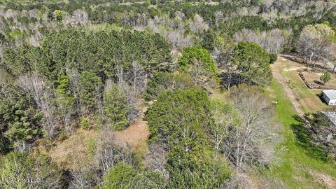 157 King Collier Rd, Brandon, MS 39042 photo 3
