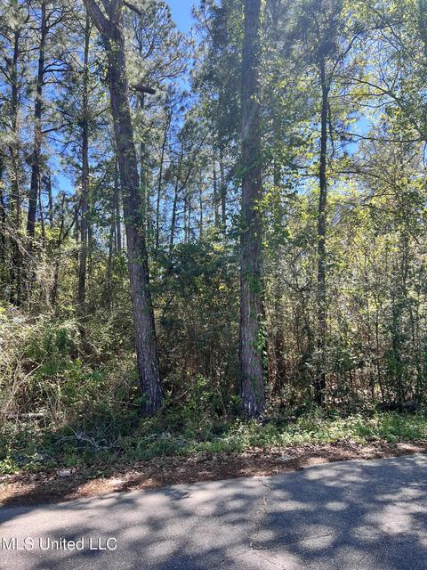 Victoria Drive, Gautier, MS 39553