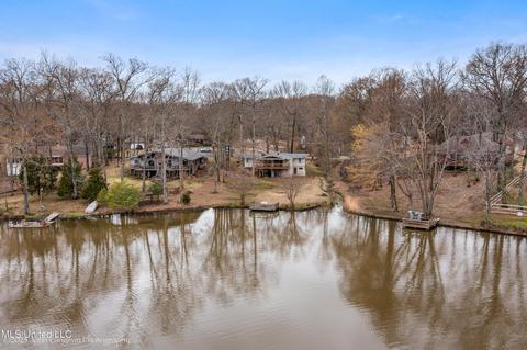 4021 Windermere Ct, Nesbit, MS 38651 photo 9