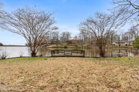 4021 Windermere Ct, Nesbit, MS 38651 photo 7
