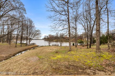 4021 Windermere Ct, Nesbit, MS 38651 photo 6