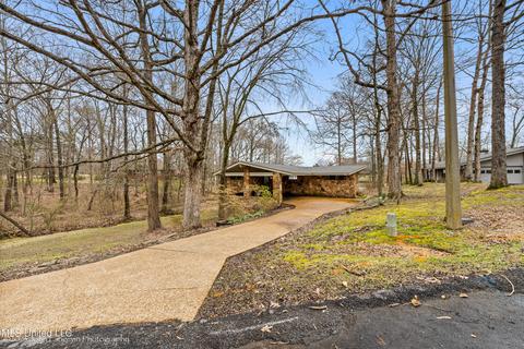 4021 Windermere Ct, Nesbit, MS 38651 photo 2