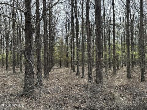 Belk Rd, Sunflower, MS 38778