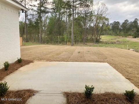 101 Seymour Dr, Madison, MS 39110 photo 16