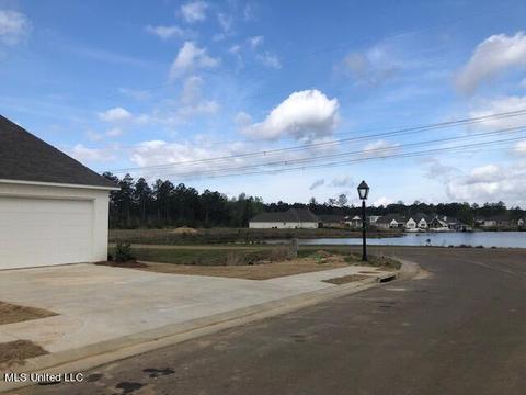 101 Seymour Dr, Madison, MS 39110 photo 5