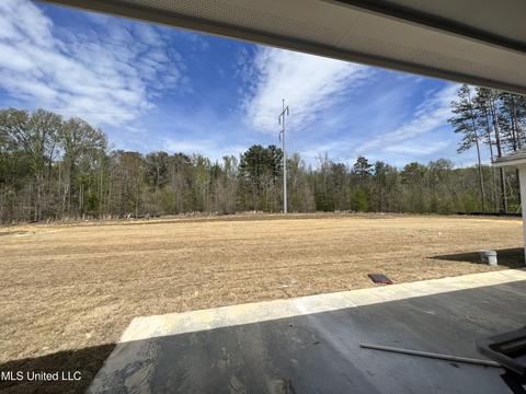 223 Lost Oak Ln, Brandon, MS 39047 photo 4