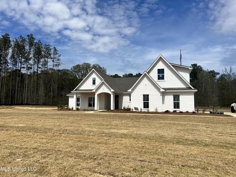 223 Lost Oak Ln, Brandon, MS 39047 photo 3
